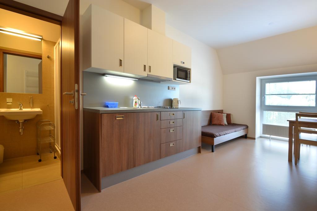 Apartmany Rokytka Snowhouse โรกีนีซ นัด ยีเซอโร ภายนอก รูปภาพ
