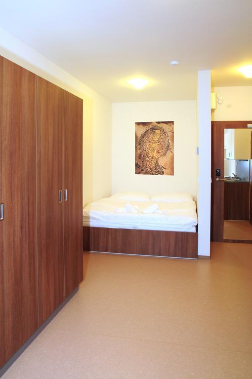 Apartmany Rokytka Snowhouse โรกีนีซ นัด ยีเซอโร ห้อง รูปภาพ